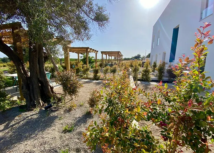 Tavira-quinta Da Janela Azul Tatil Evi