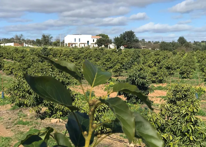 Tavira-quinta Da Janela Azul *
