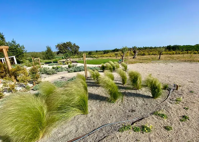 Tavira-quinta Da Janela Azul Tatil Evi