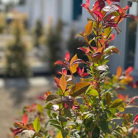 Tavira-quinta Da Janela Azul Nyaraló