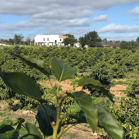 Tavira-quinta Da Janela Azul *